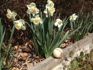 frances aylor money grab