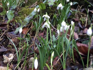 frances aylor money grab