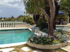 st martin odds madness march