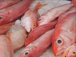 st martin odds madness march