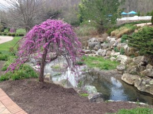 Omni Homestead Resort