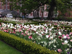 money grab amsterdam