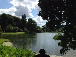 celebrating 200 years austen