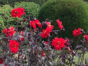 downton abbey highclere castle