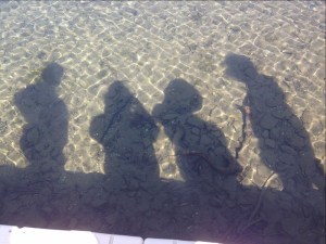 money grab finger lakes