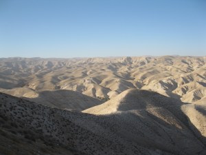 frances aylor holy land